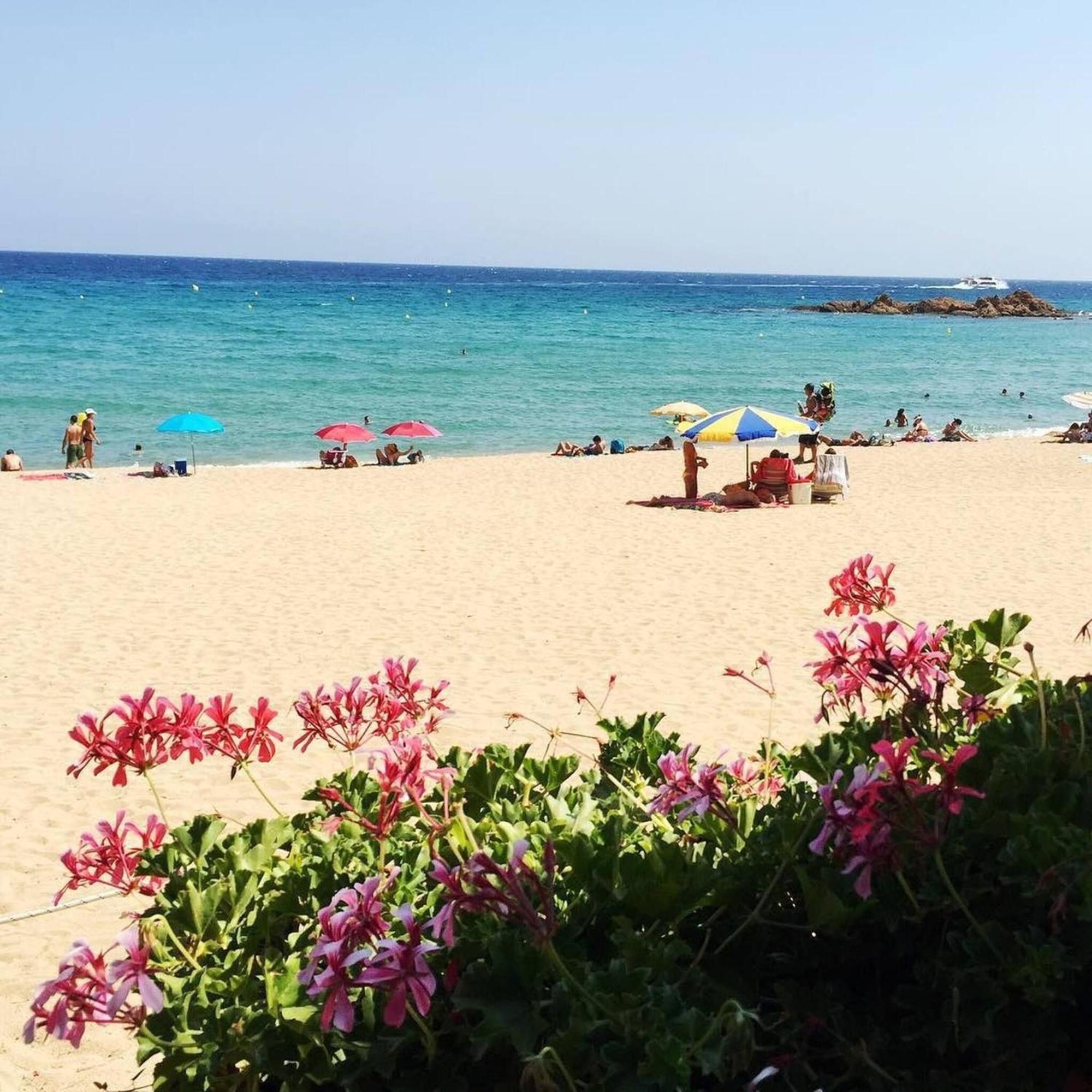 Equiped Fenals Beach *